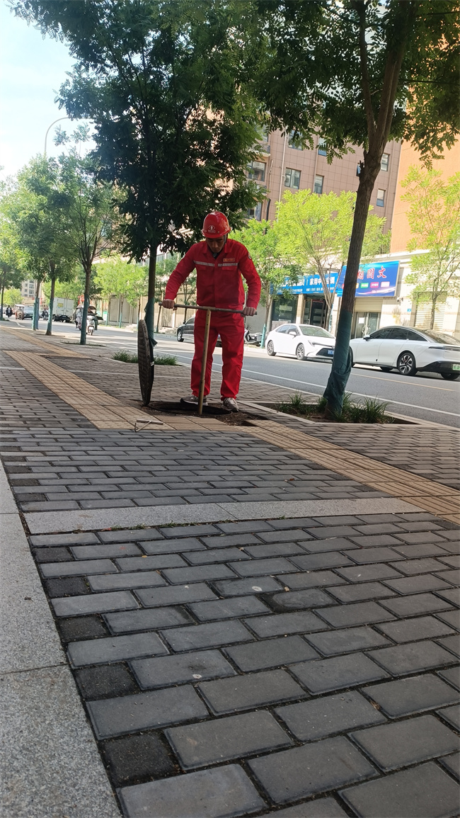 ΢ͼƬ_20250513143830.jpg